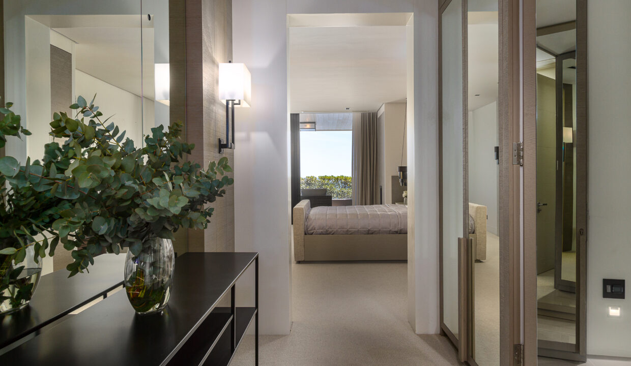 15 Halcyon photograph 15