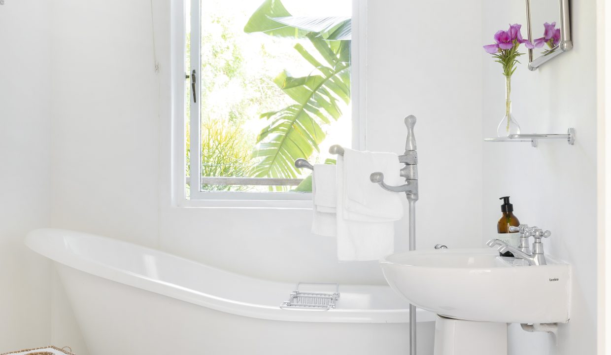 SummerRose-18-11-2022-8079