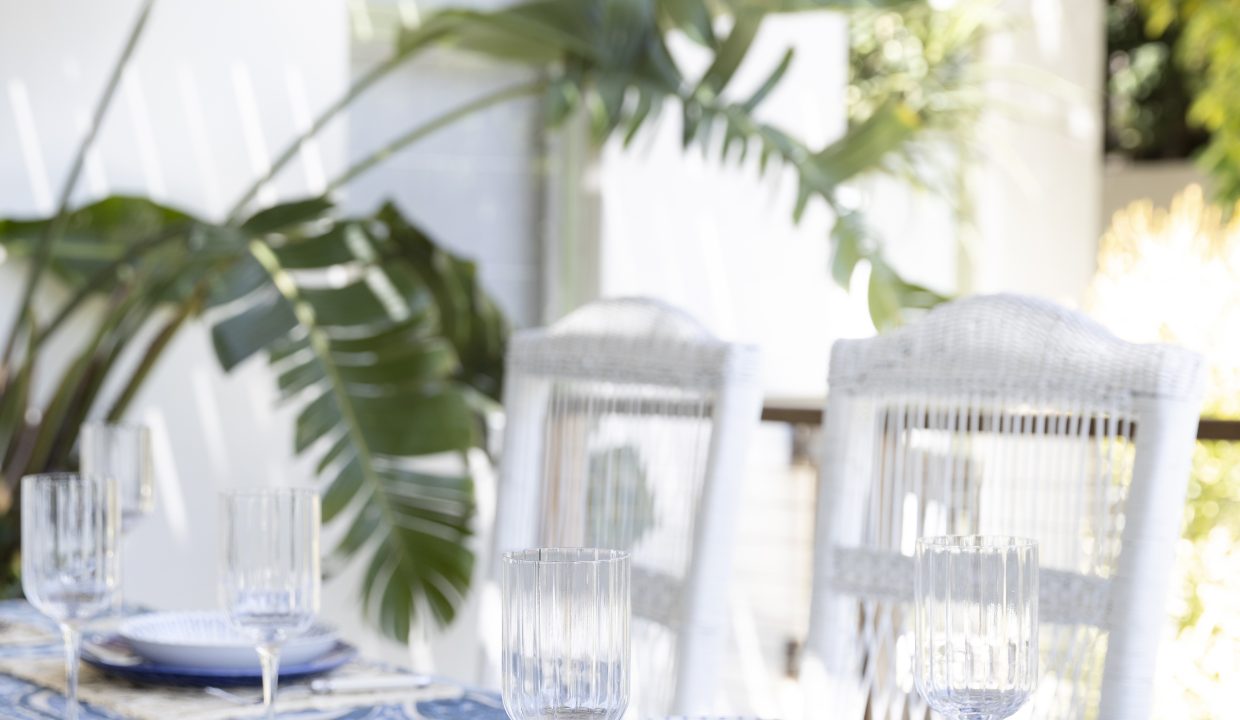 SummerRose-18-11-2022-8436