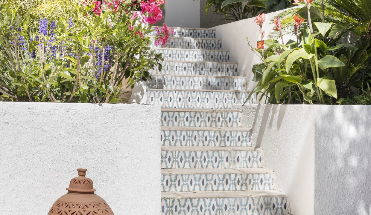 SummerRose-18-11-2022-8532